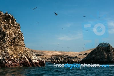 Ballestas Islands, Paracas National Reserve. The Very First Mari… Stock Photo