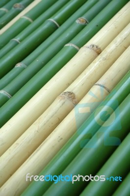 Bamboo Stock Photo