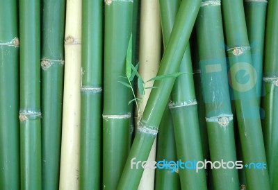 Bamboo Stock Photo