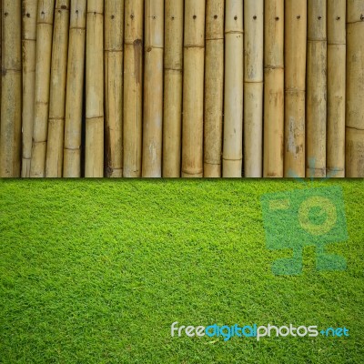 Bamboo And Grass Background Stock Image