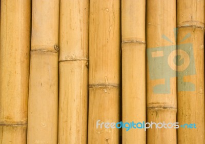 Bamboo Background Stock Photo