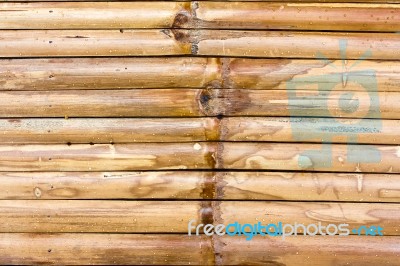 Bamboo Fence Stock Photo