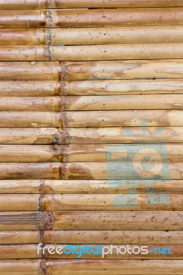 Bamboo Fence Stock Photo