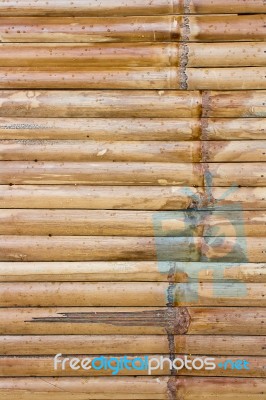 Bamboo Fence Stock Photo