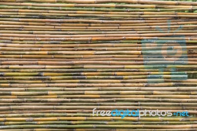 Bamboo Fence Stock Photo