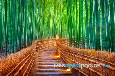 Bamboo Forest In Kyoto, Japan Stock Photo