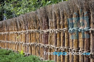 Bamboo Japanese Fence Stock Photo