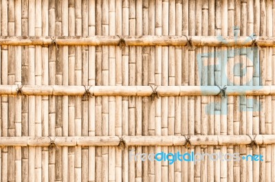 Bamboo Textured Background Stock Photo