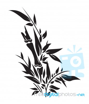 Bamboo Tree Silhouettes Stock Image