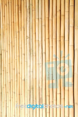 Bamboo Wall Stock Photo