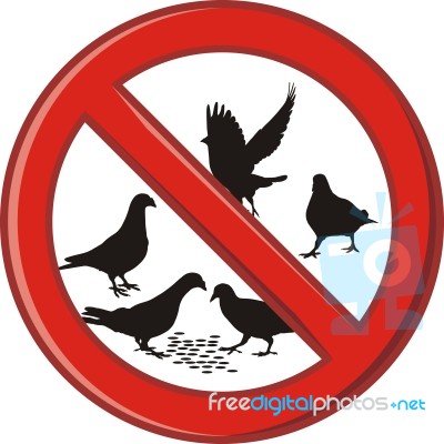 Ban On Feeding Pigeons Stock Image