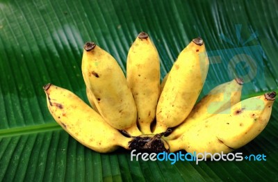 Banana Stock Photo