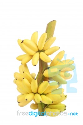 Banana Bunch Cluster Isolated On White Background Stock Photo