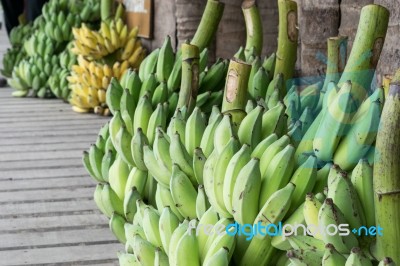 Bananas Harvesting From Farm To Market In Close Up Stock Photo