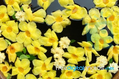 Banburee Flower With Jasmine Stock Photo