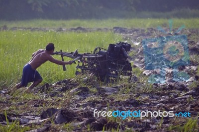 Bangkok Thailand -may 13- Unidentified People Preparing Land For… Stock Photo