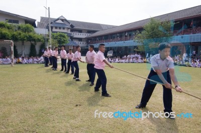 Bangkok, Thailand - Nov 2016: In The Nov 23, 2016. Youth Tug Of War, In Pieamsuwan Elementary School Stock Photo