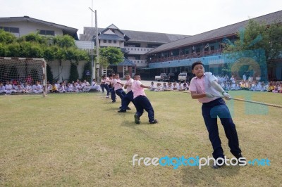 Bangkok, Thailand - Nov 2016: In The Nov 23, 2016. Youth Tug Of War, In Pieamsuwan Elementary School Stock Photo