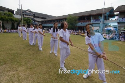 Bangkok, Thailand - Nov 2016: In The Nov 23, 2016. Youth Tug Of War, In Pieamsuwan Elementary School Stock Photo