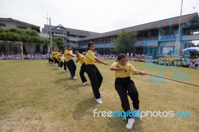 Bangkok, Thailand - Nov 2016: In The Nov 23, 2016. Youth Tug Of War, In Pieamsuwan Elementary School Stock Photo