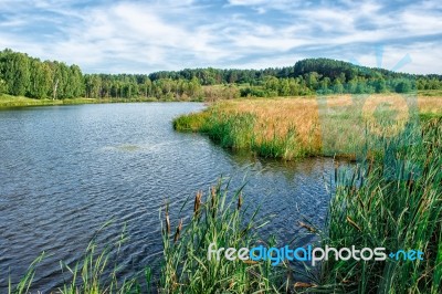 Bank Of The River Stock Photo