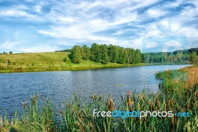 Bank Of The River Stock Photo