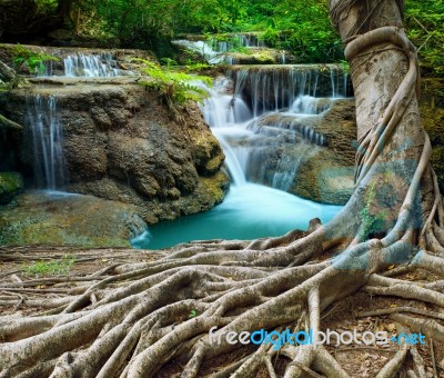 Banyan Tree And Limestone Waterfalls In Purity Deep Forest Use N… Stock Photo