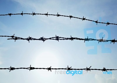 Barb Wire Stock Photo