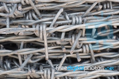 Barbed Wire Stock Photo