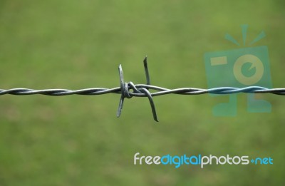 Barbed Wire Stock Photo