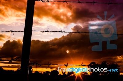 Barbed Wire Fence at Sunset Stock Photo