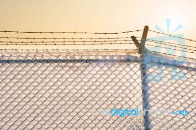 Barbed Wire Fence With Snow At Sunset Stock Photo