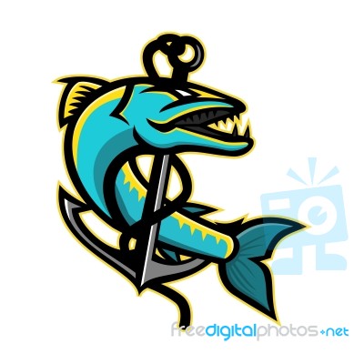 Barracuda And Anchor Mascot Stock Image