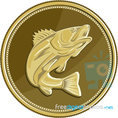 Barramundi Gold Coin Retro Stock Image