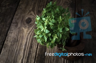 Basil And Mortar On Old Boards Stock Photo