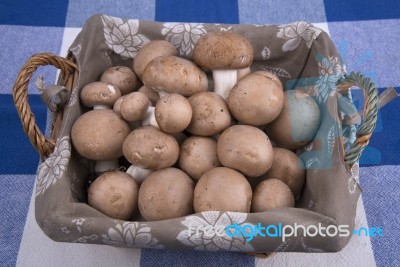 Basket Mushrooms On Colorful Tablecloth Stock Photo