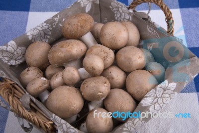 Basket Mushrooms On Colorful Tablecloth Stock Photo