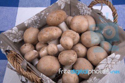 Basket Mushrooms On Colorful Tablecloth Stock Photo