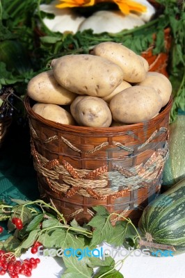 Basket Of Potatoes Stock Photo