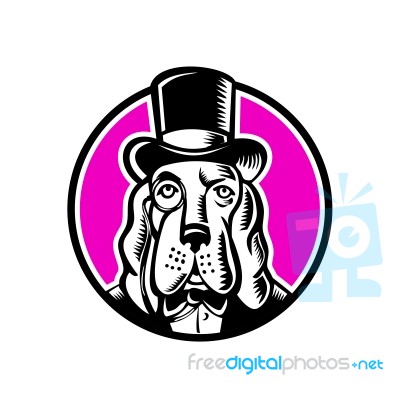 Basset Hound Monocle Top Hat Stock Image