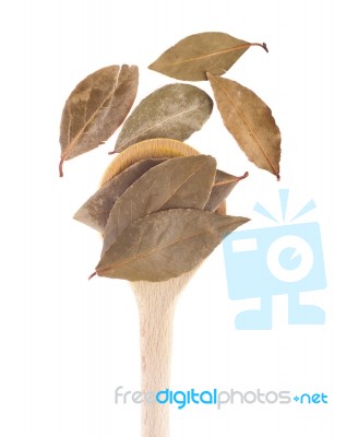 Bay Leaves Stock Photo