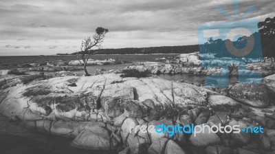 Bay Of Fires In Binalong Bay Stock Photo