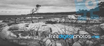 Bay Of Fires In Binalong Bay Stock Photo