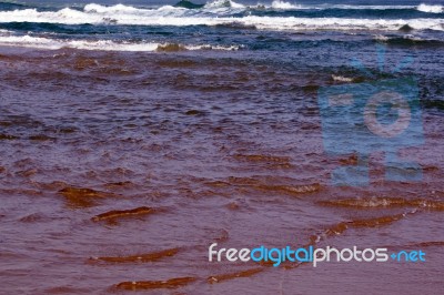 Beach Stock Photo