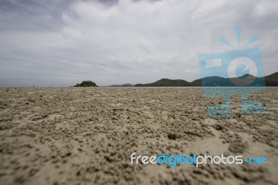 Beach Stock Photo