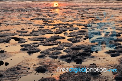 Beach And Sand Stock Photo