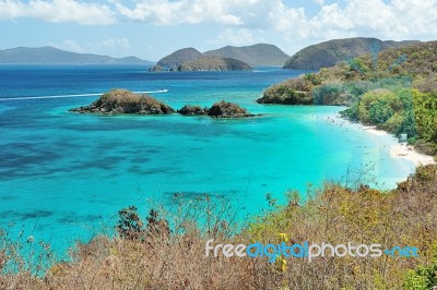 Beach In U.s. Virgin Islands Stock Photo