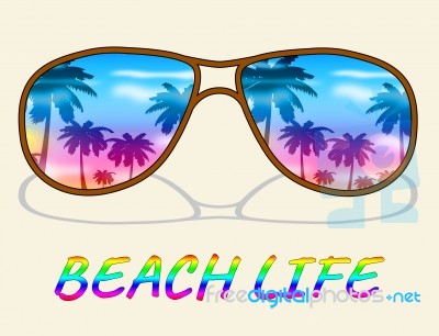 Beach Life Represents Sea And Coast Living Stock Image