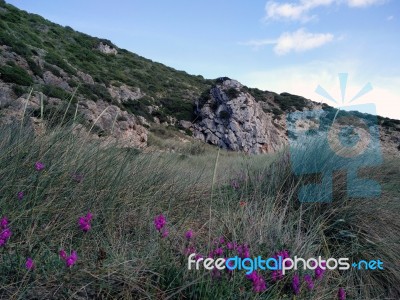 Beach Of Furnas In The Algarve Stock Photo