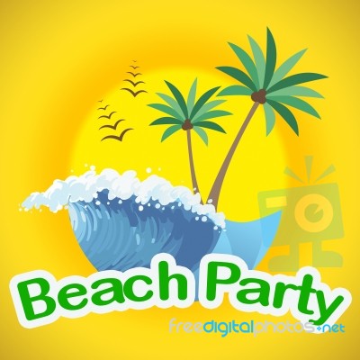 Beach Party Indicates Summer Time And Beaches Stock Image